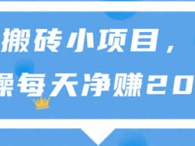 副业教程《零基础新手搬砖项目 轻松月入200+》视频教程