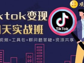 短视频副业《tiktok变现四天实战班 单账号月入2000+美金》实操教程