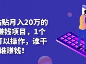 副业项目《复制粘贴月入20万的闷声赚钱项目》图文教程