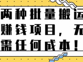 副业项目《零成本批量搬运赚钱方法》视频教程