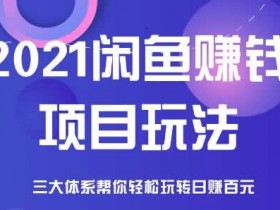 电商运营项目《2021咸鱼副业新玩法,零基础教你日入100+》视频教程