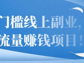 副业项目《零门槛线上副业,群流量赚钱项目》视频教程