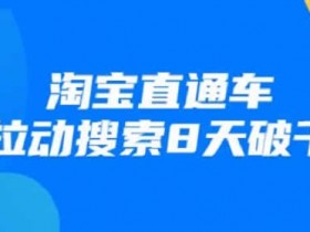 电商进阶战速课《淘宝直通车拉动搜索8天破千》视频教程