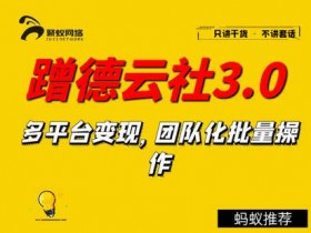 副业教程《聚蚁思维蹭德云社赚钱3.0,多平台变现,团队化批量操作》视频教程
