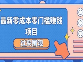 副业项目《新手零基础实操项目，轻松月入2000-5000+》视频教程