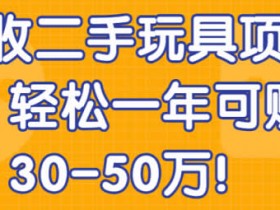 副业项目《二手玩具回收项目,年入30~50万玩法》视频教程