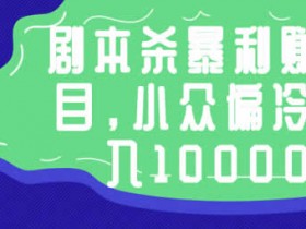 副业项目《剧本杀暴利赚钱项目，小众偏冷门月入10000+》视频教程