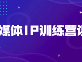 自媒体项目《自媒体IP训练营课程》视频教程