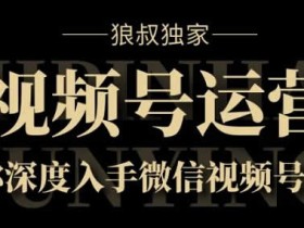 短视频副业《视频号运营实战课8.0,带你深度入手微信视频号》视频教程
