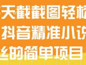 副业项目《抖音小说粉丝引流项目,会截图就能操作》视频教程