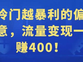 副业项目《冷门暴利项目,流量变现一单400+》视频教程