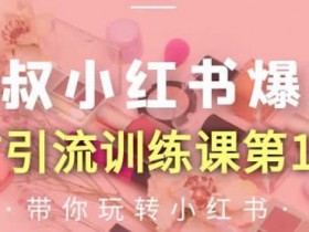 自媒体副业《小红书爆款推广引流训练课第12期,手把手带你玩转小红书》视频教程