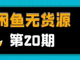 电商副业《咸鱼无货源项目,教你从0到月入20万+》视频教程