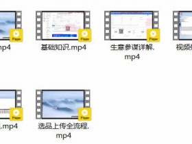 电商运营《淘宝实物课程:3天内出单》视频教程