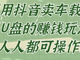 抖音副业《车载音乐U盘项目,人人都可操作》视频教程