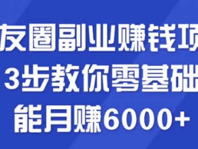 副业项目《朋友圈副业教程,零基础月入6000+方法》视频教程