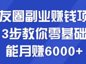 副业项目《朋友圈副业教程，零基础月入6000+方法》视频教程