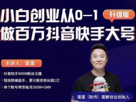 短视频副业《从0到1做百万粉丝抖音号,爆粉抖音账号打造攻略》视频教程