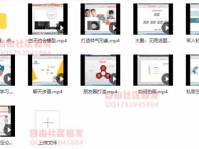 指南针团队《大鹏私教》视频教程