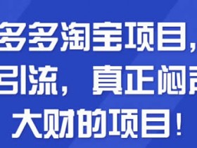 电商副业《拼多多淘宝闷声发大财项目》视频教程