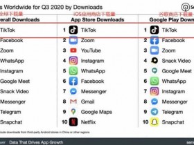 短视频项目《TikTok变现实战训练营，轻松月入10000+》视频教程