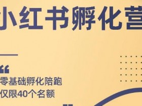 自媒体项目《小红书撸金项目,教你每月躺赚3000+》视频教程