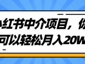 自媒体项目《小红书中介项目,轻松月入20W+的玩法》视频教程