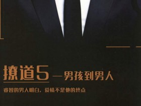 舞步情感《撩道5男孩到男人》无水印PDF电子书