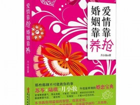 恋爱书籍《爱情靠抢,婚姻靠养》PDF电子书