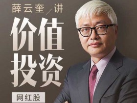 投资理财《长江商学院薛云奎的价值投资进阶课》音频教程