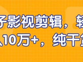 短视频副业《亲子影视剪辑,轻松月入10万+》视频教程