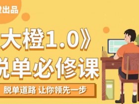 脱单必修课《大橙1.0》视频教程