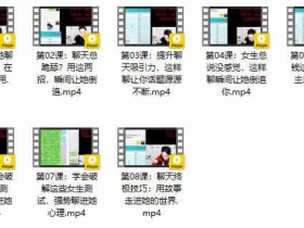 摸鱼情感《恋爱聊天大师》视频教程