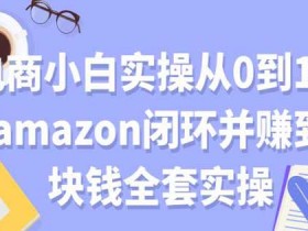 电商运营《电商小白实操从0到1跑通amazon闭环并赚到一块钱全套实操》文档教程