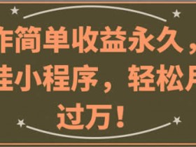 副业项目《抖音挂小程序,轻松月入过万》视频教程