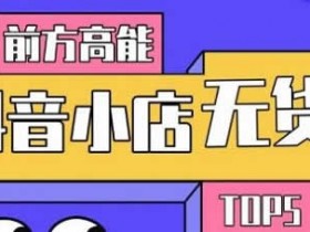 电商运营《抖音小店无货源爆款玩法》视频教程