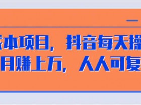 短视频副业《零成本抖音可复制项目，每天5分钟月入10000+》视频教程