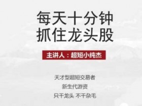 投资理财《每天十分钟抓住龙头股》视频教程