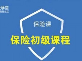 投资理财《保险初级课程》音频教程