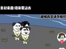 副业技巧:自媒体短视频搬运项目的一个原创技巧,有手就能做