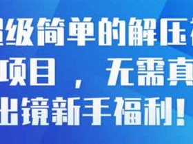 副业项目《简单易上手零基础视频解压项目,无需真人出镜》视频教程