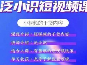 短视频教程《短视频+电商课 短视频的干货内容课》视频教程