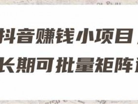 抖音运营《抖音赚钱小项目,冷门长期可批量矩阵运营》视频教程