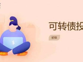 投资理财《长投学堂可转债投资课》视频教程