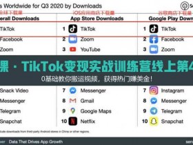 短视频副业《TikTok变现实战训练营线上第4期,0基础教你赚美金》视频教程