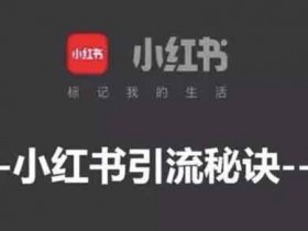 零基础月入5万,小红书引流项目实操!
