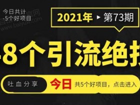 爆粉引流《吐血分享48个引流绝技》图文教程
