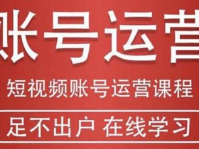 短视频副业《短视频账号运营课程，从短视频开始到直播带货全攻略》视频教程