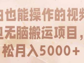副业项目《短视频无脑搬运项目,小白也能轻松月入5000+》视频教程
