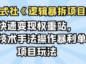 副业项目《快速变现权重站,灰色技术手法操作暴利单人项目玩法》视频教程